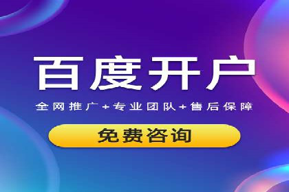 SEM专员实战案例解析